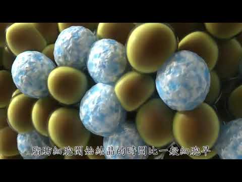 酷爾塑平系統 作用原理