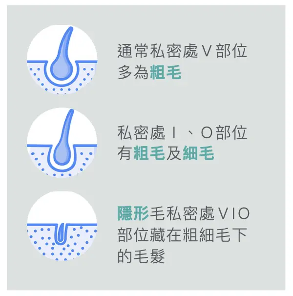專精私密處除毛，針對各部位不同毛囊深度，密度不同，粗細不同，加上膚質的診斷調整參數，才能達到長效的除毛，非暫時性的改善，為您提供多一份安心的選擇。