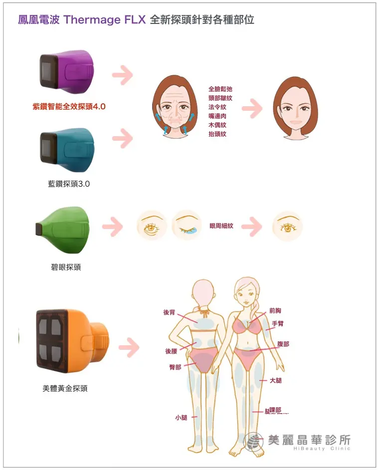 鳳凰電波ThermageFLX全新探頭針對各部位