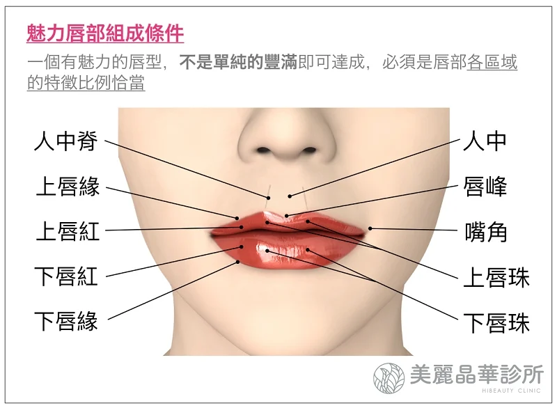 玻尿酸豐唇治療部位