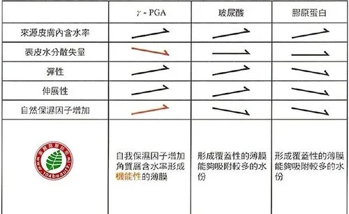 r-pga與玻尿酸及膠原蛋白對皮膚各項功能比較2
